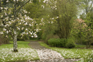 The 10 Best Things To Do In Naas 2020 With Photos Tripadvisor Must See Attractions In Naas Ireland